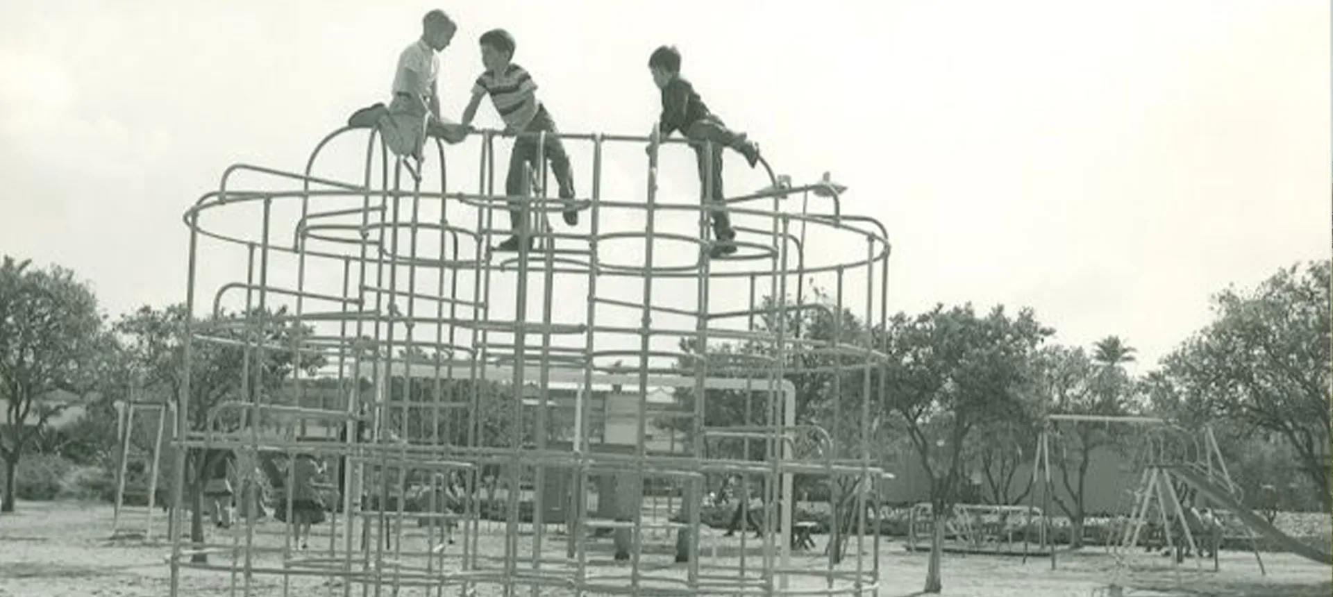 The playground archives: The monkey bars image